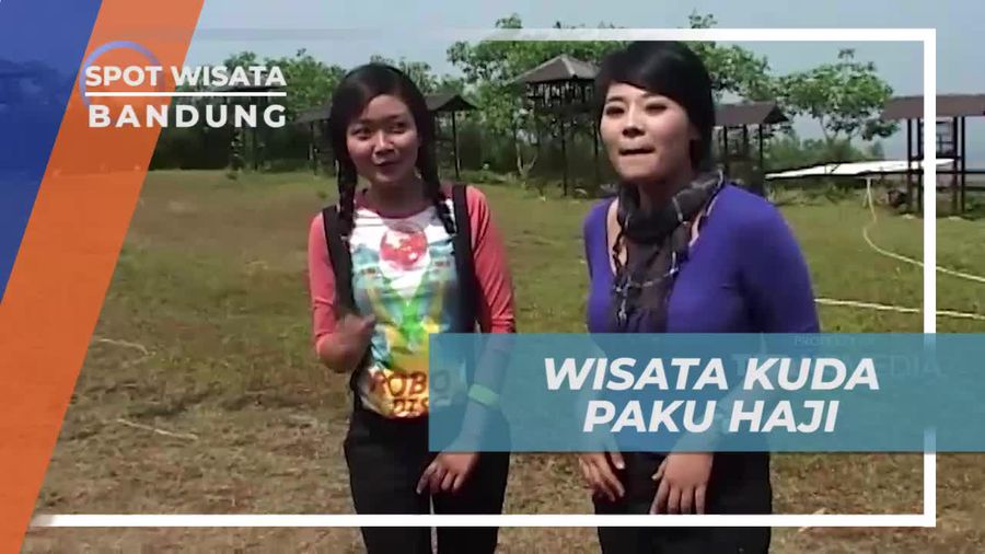 Berwisata Asik ke Kawasan Kuda Paku Haji Bandung