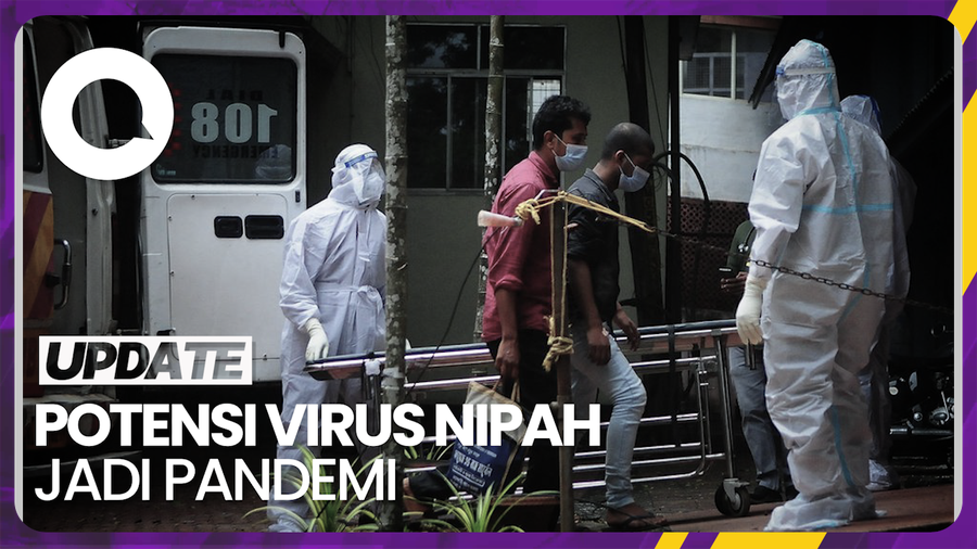 Ahli Sebut Virus Nipah Berpotensi Jadi Pandemi