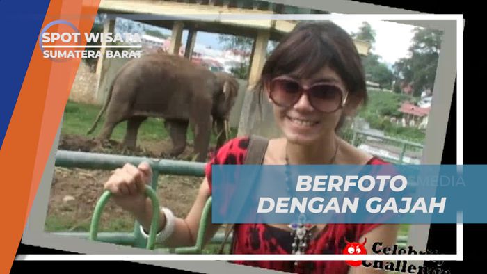 Cekrak-cekrek Abadikan Momen Seru Berfoto Dengan Gajah, Sumatera Barat