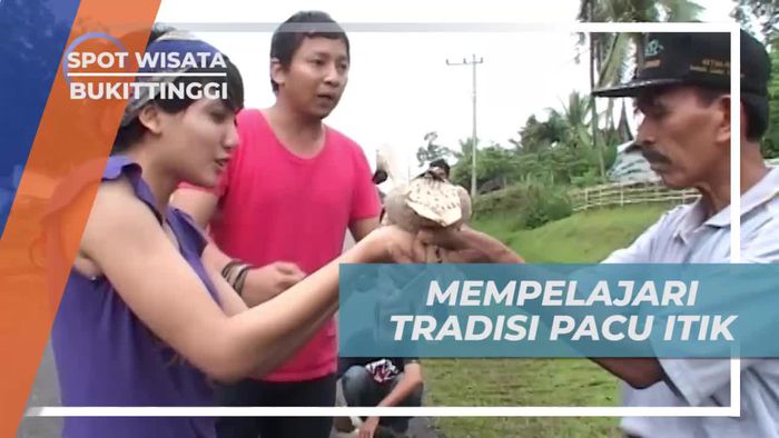 Belajar Tradisi Pacu Itik Bersama Ahlinya, Bukittinggi