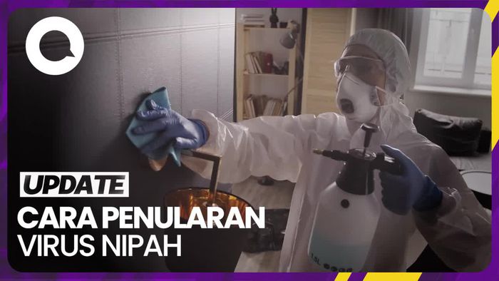 Waspada! Ini Potensi Penularan Virus Nipah Pada Manusia