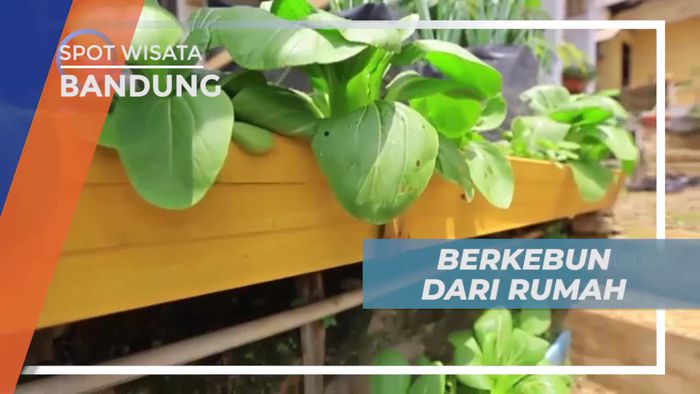 Vertikal Farming, Menciptakan Kebun Sayur di Rumah Sendiri, Bandung