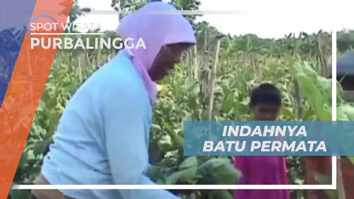 Batu Sungai Klawing Purbalingga, Dikenal Karena Keindahannya