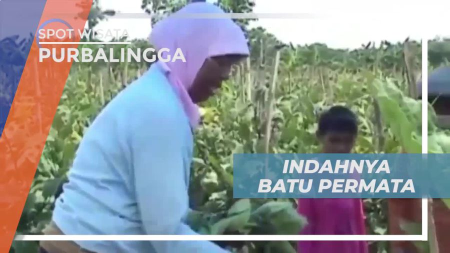 Batu Sungai Klawing Purbalingga, Dikenal Karena Keindahannya