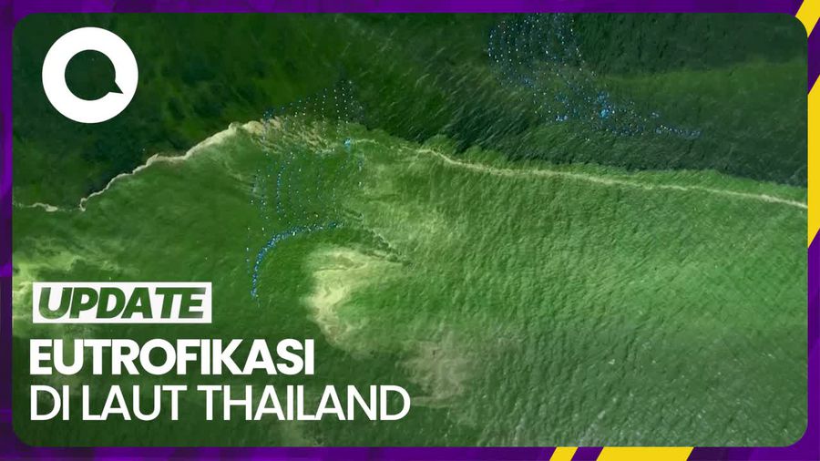 Plankton Sebabkan Laut Thailand Jadi Zona Mati
