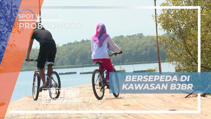 Serunya Bersepeda Pagi Menjelajahi Kawasan Hutan Bakau, Probolinggo