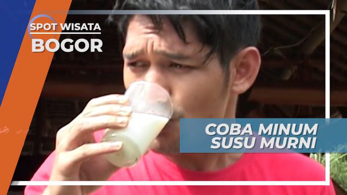 Sensasi Mencoba Minum Susu Sapi Murni, Bogor