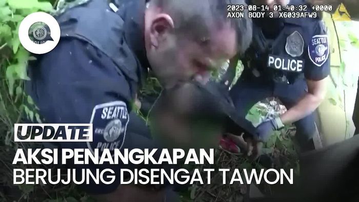 Mau Menangkap Pencuri, Pasukan Polisi Ini Malah Dikerubungi Tawon
