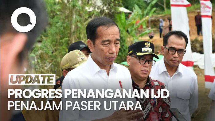 Jokowi Cek Penanganan IJD yang Bakal Menopang IKN