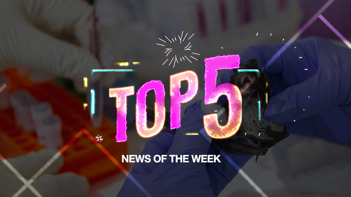 Top 5: Terduga Pemeran Film Porno Diperiksa hingga Bisnis Kaesang Bangrut