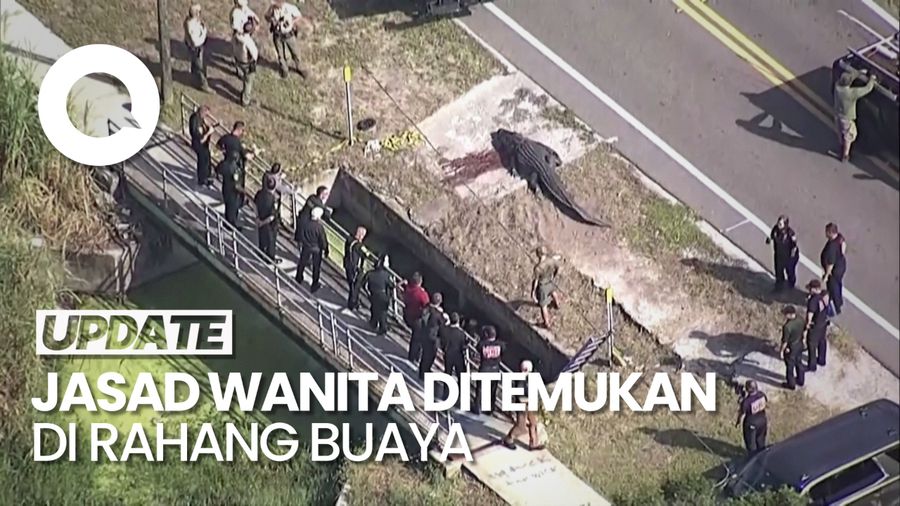 Ngeri! Jasad Wanita Ditemukan di Rahang Buaya di Florida