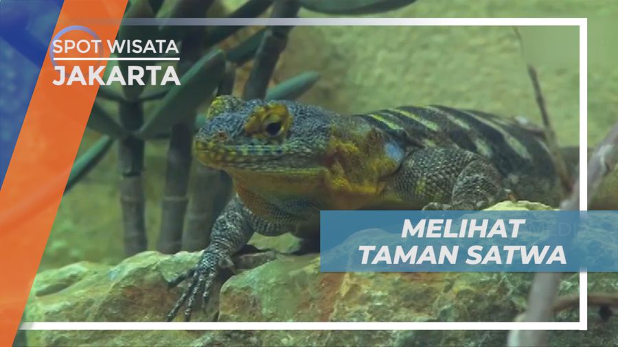 Menikmati Alam Buatan dari Balik Kaca Transparan, Jakarta