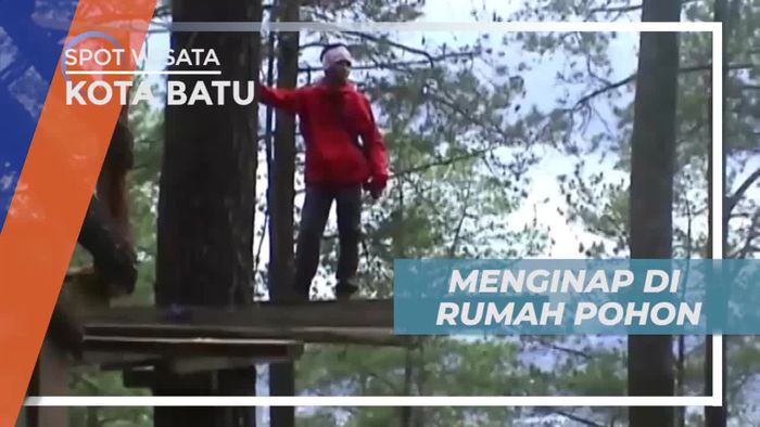 Berlibur Seru Dengan Menginap di Rumah Pohon Kota Batu