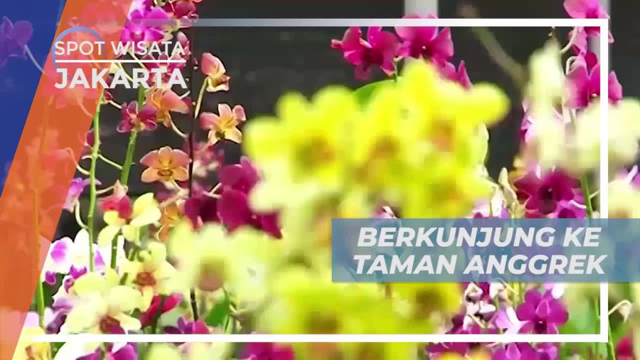 Budidaya Bunga Anggrek di Taman Ragunan Jakarta