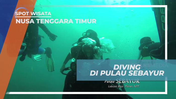 Diving Menikmati Keindahan Bawah Laut Pulau Sebayur Flores