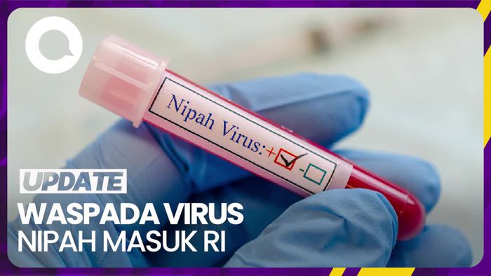 Upaya Kemenkes Agar Virus Nipah Tak Masuk Indonesia