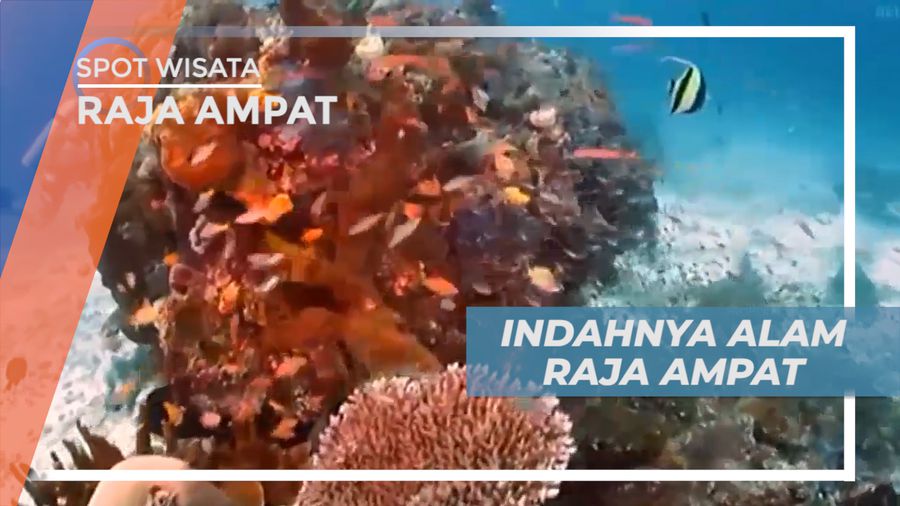 Raja Ampat, Surga Dari Timur Indonesia