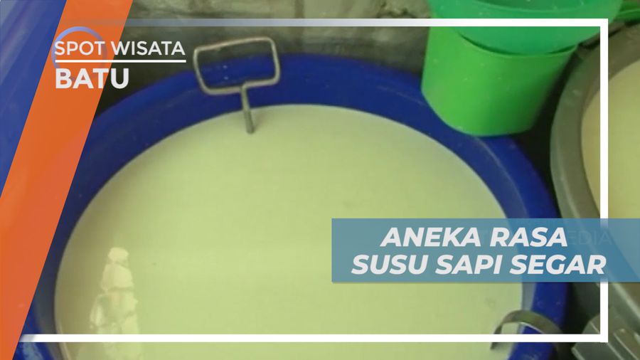 Menikmati Kelezatan Aneka Rasa Susu Sapi Segar Tanpa Bahan Pengawet, Kota Batu