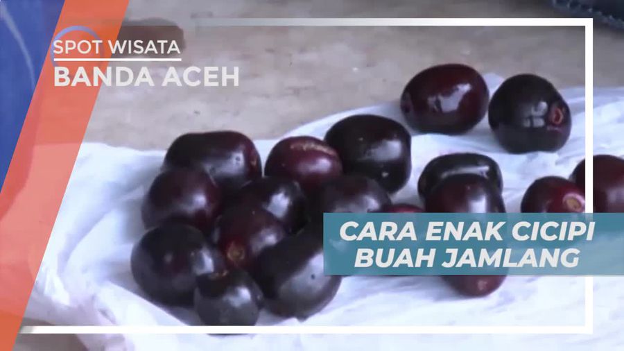 Hanya Berbuah Setahun Sekali, Mengenal Lebih Dekat Buah Jamblang di Aceh