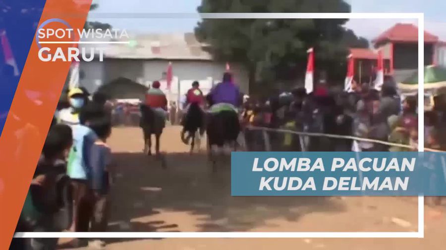 Pacuan Kuda Delman Dengan Peserta Kusir, Garut