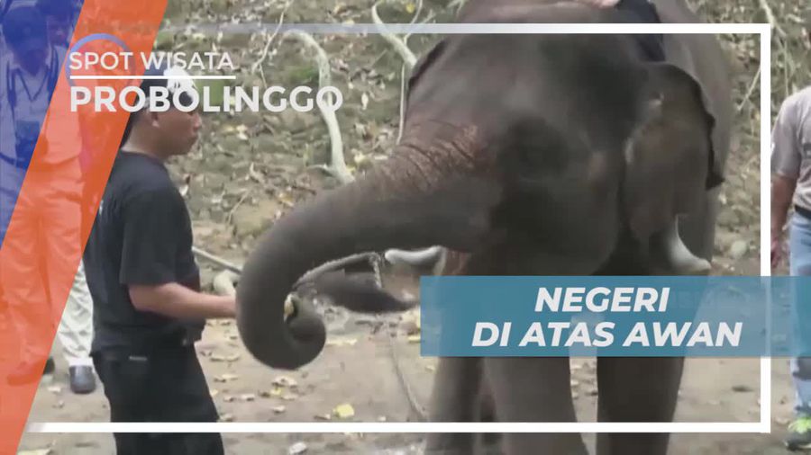 Melewati Jalan Terjal Menuju Negeri di Atas Awan, Probolinggo