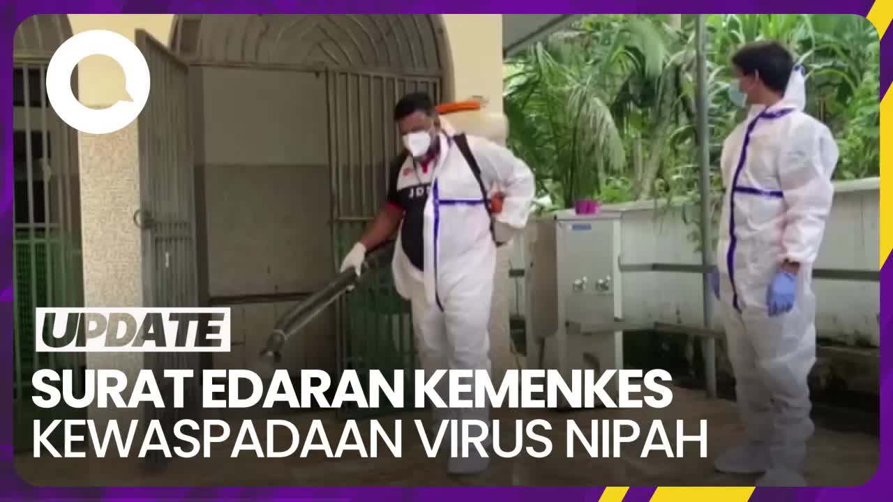 Isi Surat Edaran Kemenkes Soal Kewaspadaan Virus Nipah