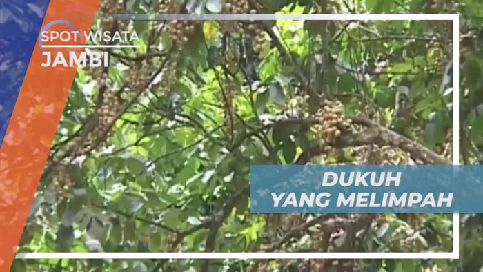 Dukuh Istimewa Asal Jambi yang Terkenal Manis