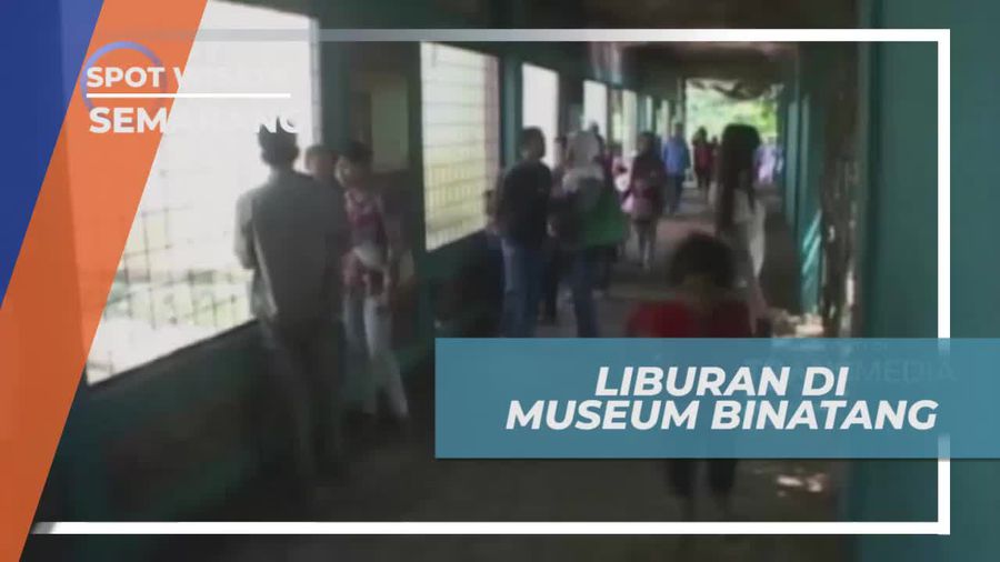 Museum Binatang Dengan 30 Ekor Satwa yang Diawetkan, Semarang
