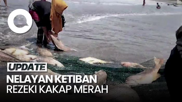 Nelayan Pangandaran Panen Ikan Kakap Merah, Total Berat 2,6 Ton!