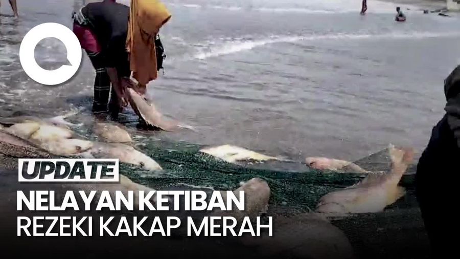 Nelayan Pangandaran Panen Ikan Kakap Merah, Total Berat 2,6 Ton!
