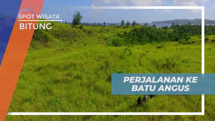 Melewati Hijaunya Padang Savana, Perjalanan Seru Menuju Batu Angus, Bitung
