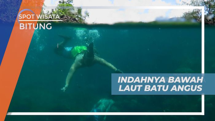 Menyelami Kejernihan Birunya Air Laut Batu Angus, Bitung