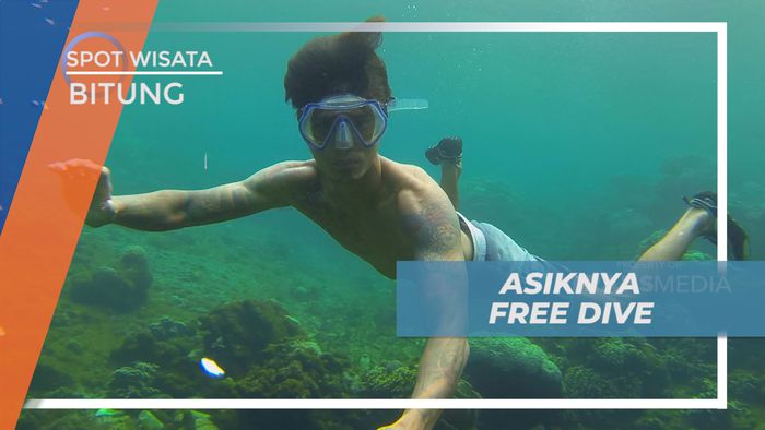 Menikmati Keindahan Bawah Laut Dengan Freedive di Batu Angus, Bitung