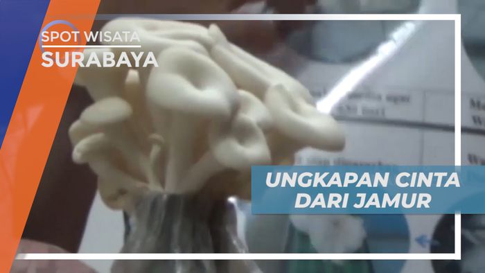Ungkapan Cinta Dari Jamur, Dijadikan Sebagai Bunga Kreasi Cantik, Surabaya