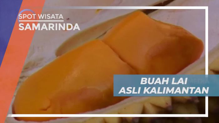 Buah Lai, Tumbuh Endemik di Berbagai Pelosok Kalimantan Timur