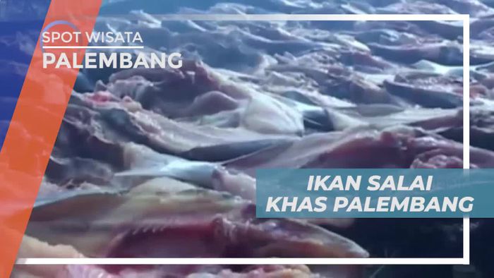 Salai, Makanan Khas Kota Palembang yang Terbuat Dari Ikan Baung