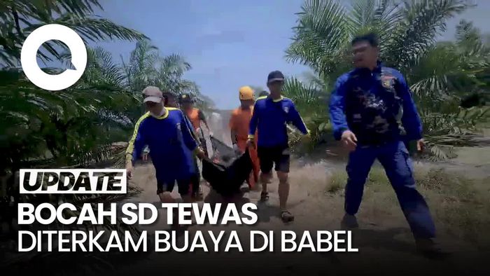 Bocah SD di Babel Tewas Diterkam Buaya saat Memancing Bersama Sang Ayah