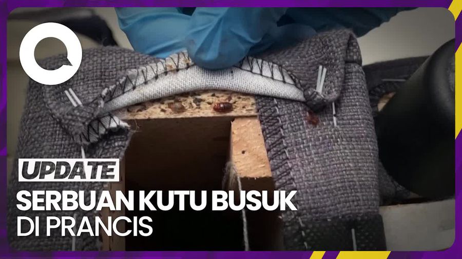 Paris Diserbu Kutu Busuk