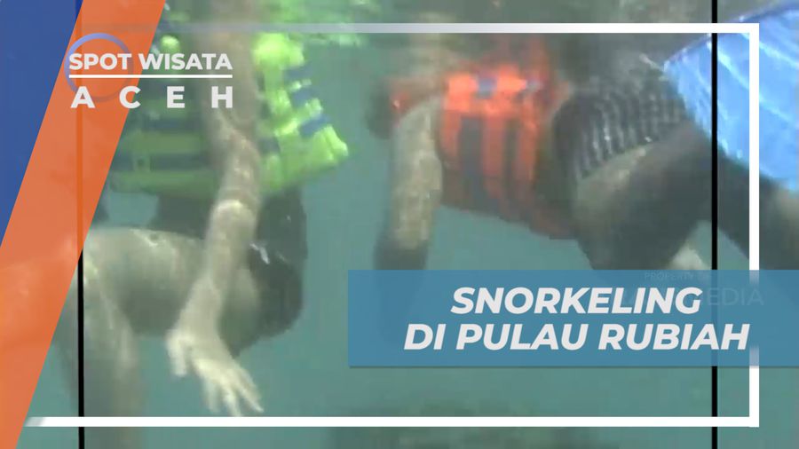 Berburu Indahnya Pemandangan Bawah Laut Pulau Rubiah, Aceh