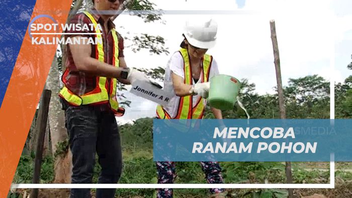 Senangnya Berpartisipasi Menanam Pohon di Lahan Reklamasi, Kaliman Timur