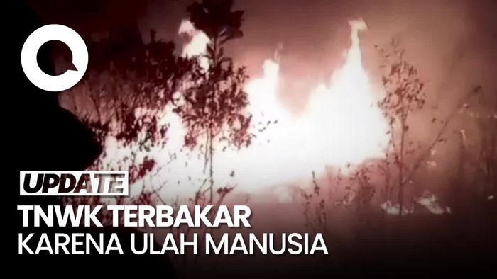 Penampakan Kebakaran Landa Taman Nasional Way Kambas