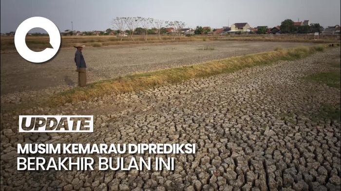 BMKG: Insya Allah Mulai Turun Hujan di Bulan November