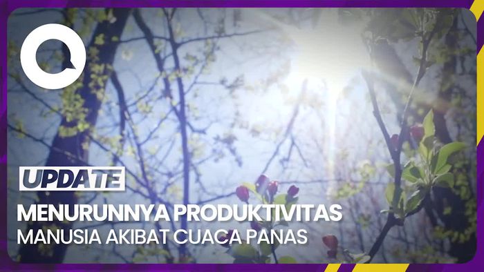 Epidemiolog Sebut Cuaca Panas Terik Bikin Produktivitas Menurun