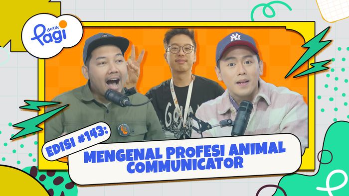 Mengenal Profesi Animal Communicator