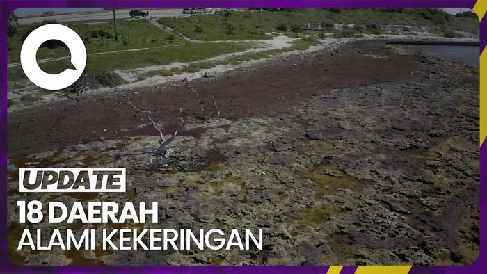 18 Daerah di RI Alami Kekeringan Akibat El Nino
