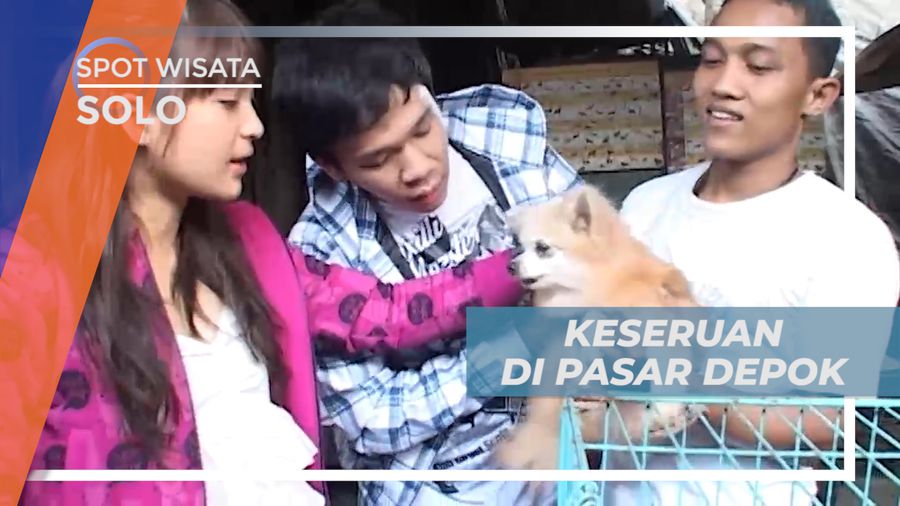 Liburan Seru, Berburu Beragam Hewan Lucu di Pasar Depok, Solo