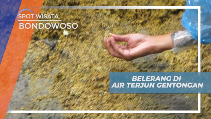 Menikmati Indahnya Alam Air Terjun Gentongan di Kaki Gunung Ijen, Bondowoso