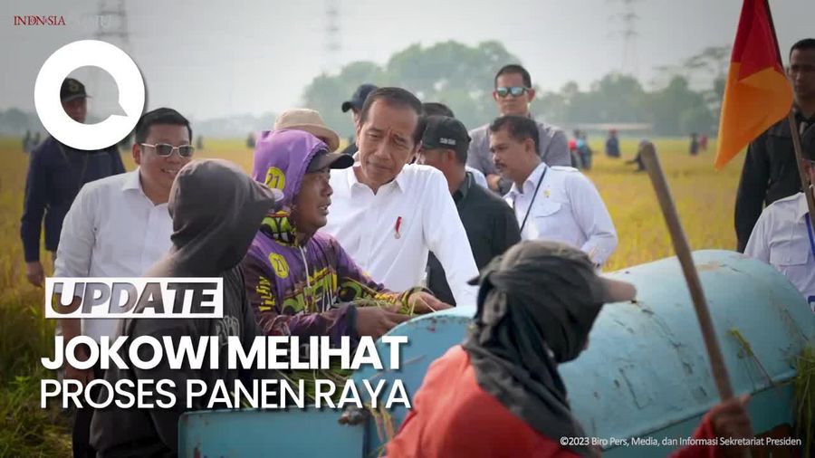 Jokowi Panen Raya di Subang Tanpa Didampingi SYL