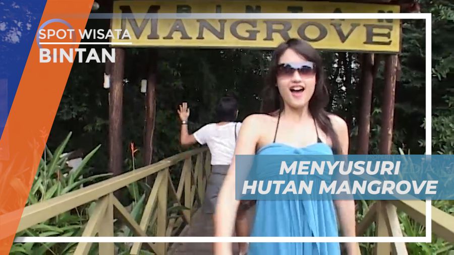 Naik Speed Boat Menyusuri Hutan Mangrove Bintan