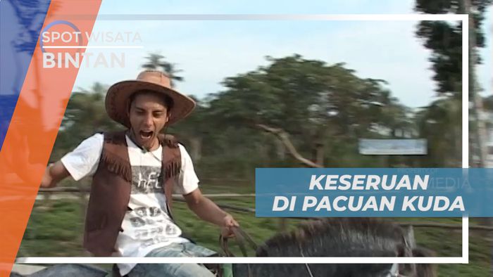 Berpacu Dengan Kecepatan Tinggi di Lintasan Kuda Bintan
